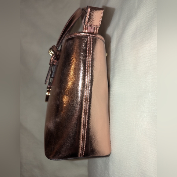 Michael Kors Jet Set Primrose Metallic XS Carryall Top Zip Tote Bag Purse NWT - Picture 4 of 8